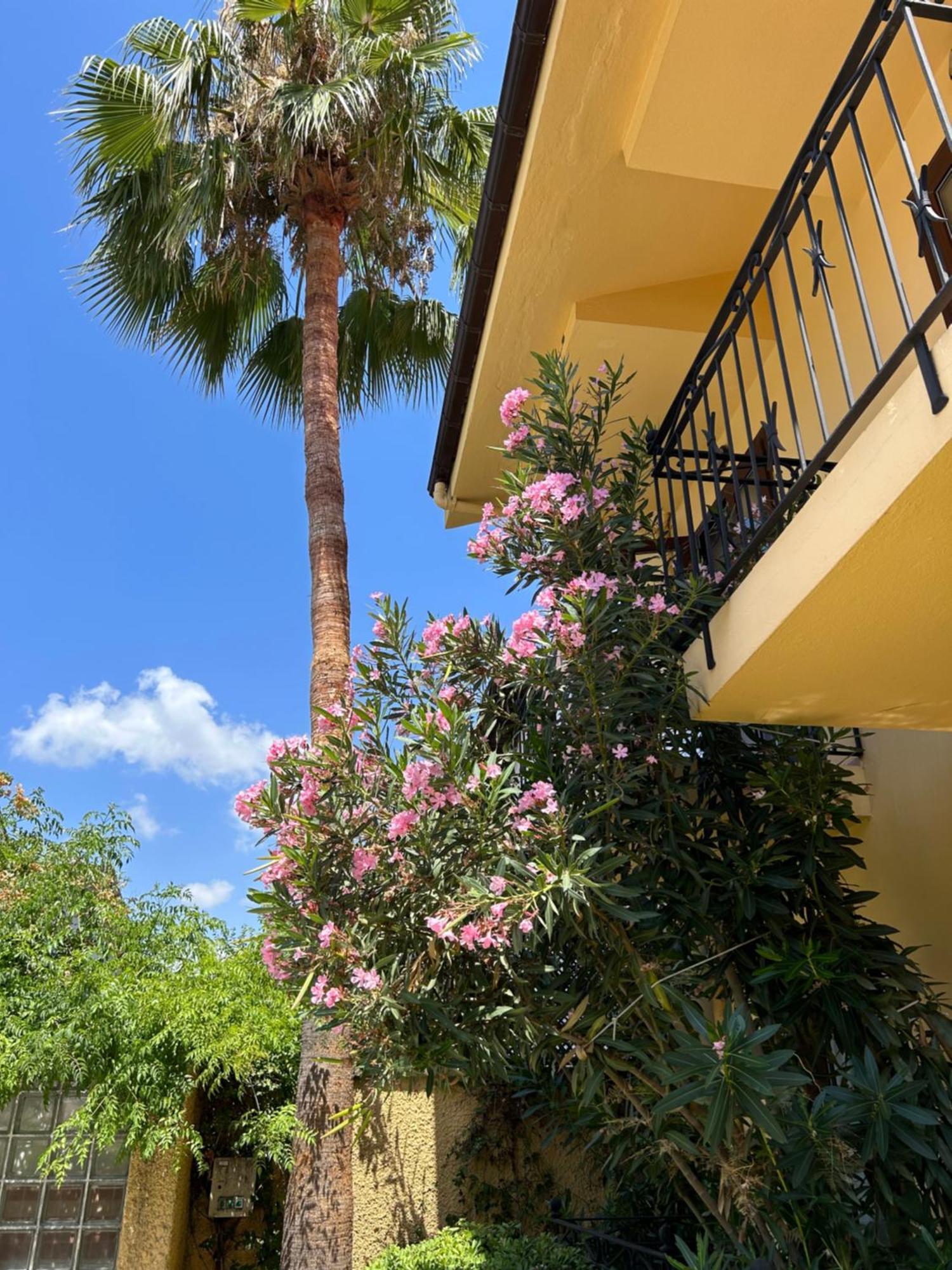 Villa Danlin Hotel Göcek Exteriör bild
